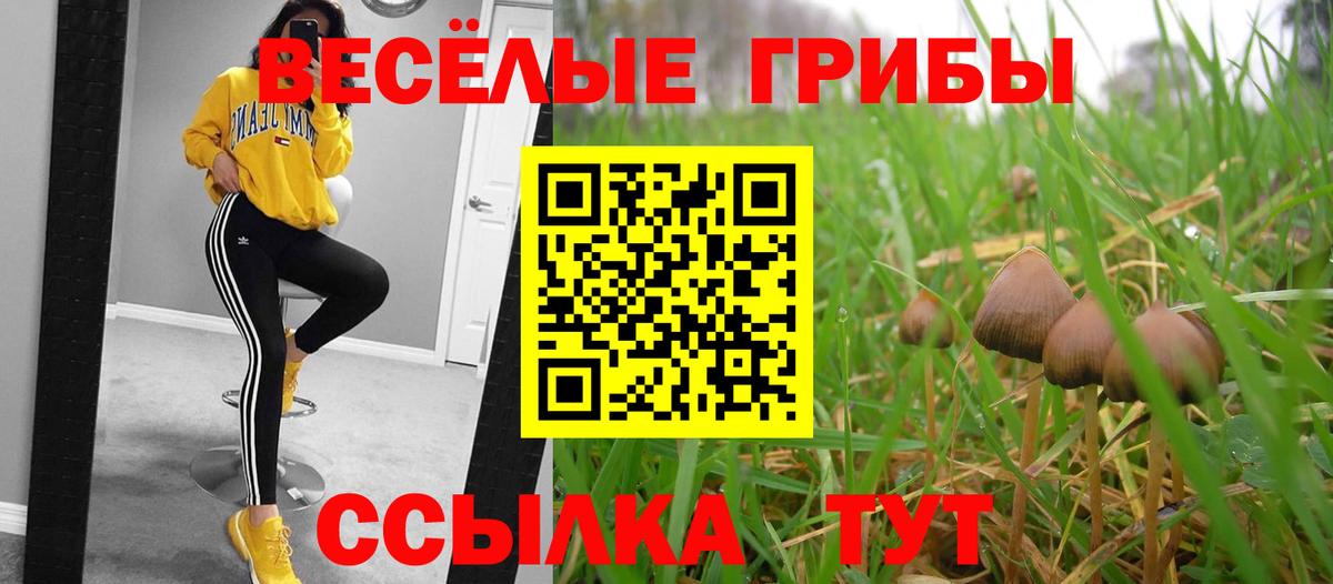 Псилоцибиновые грибы мицелий Гусиноозёрск