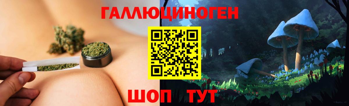 Гусиноозёрск  Галлюциногенные грибы Psilocybe  Галлюциногенные грибы ЛСД  Вход с VPN 