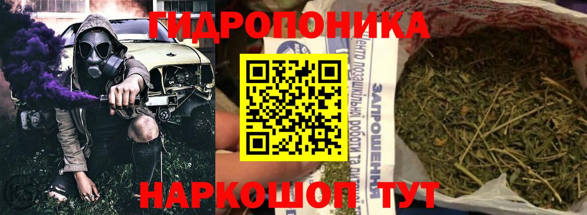 Каннабис White Widow Гусиноозёрск